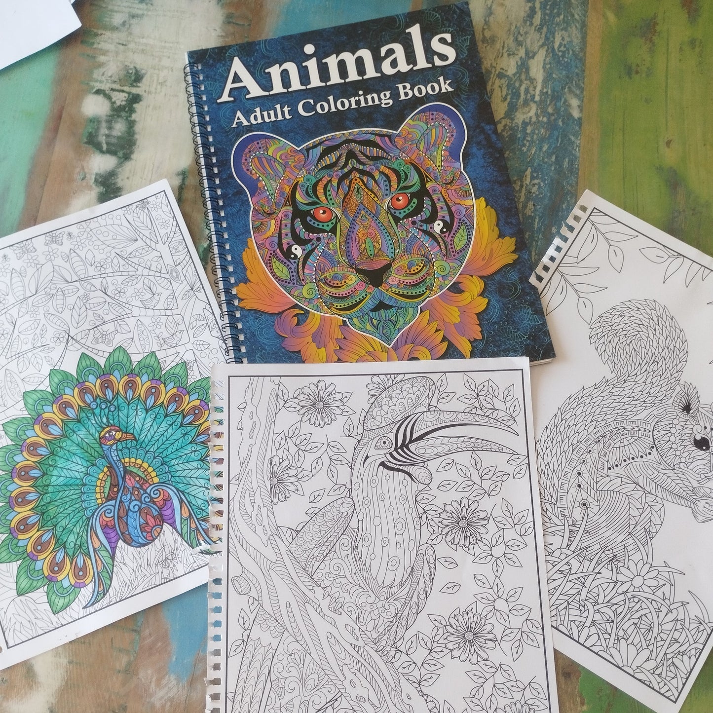 Atelier coloriage zen